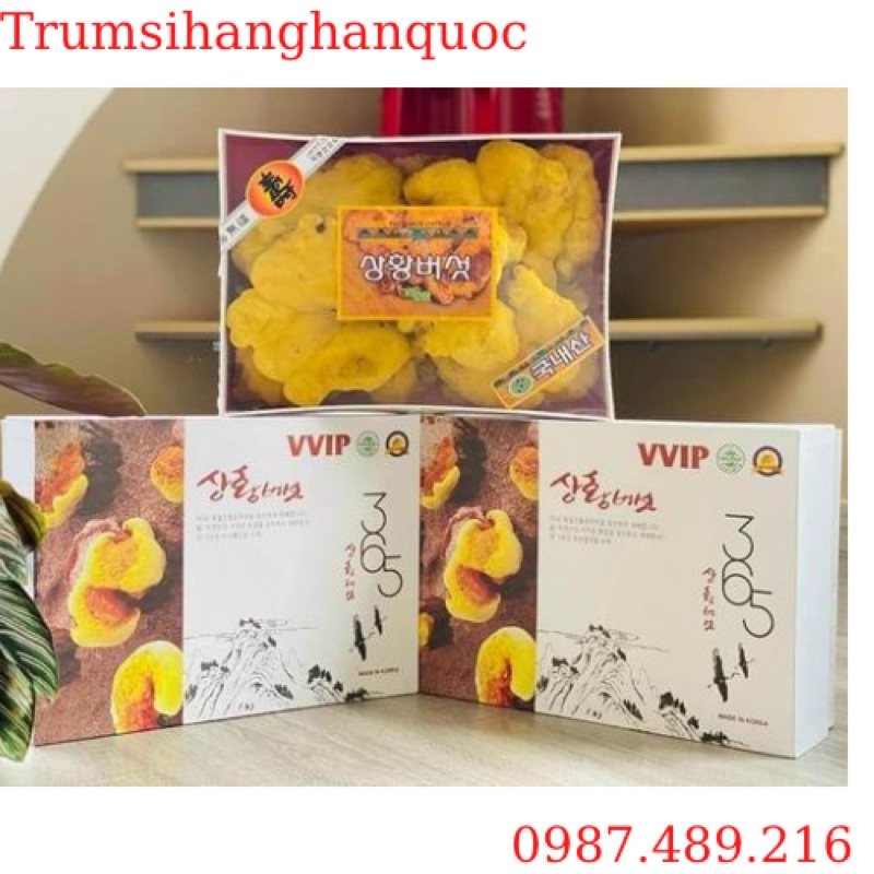 [ CHÍNH HÃNG ] Nấm Thượng Hoàng 365 Cao Cấp Hàn Quốc, Hộp 500Gr
