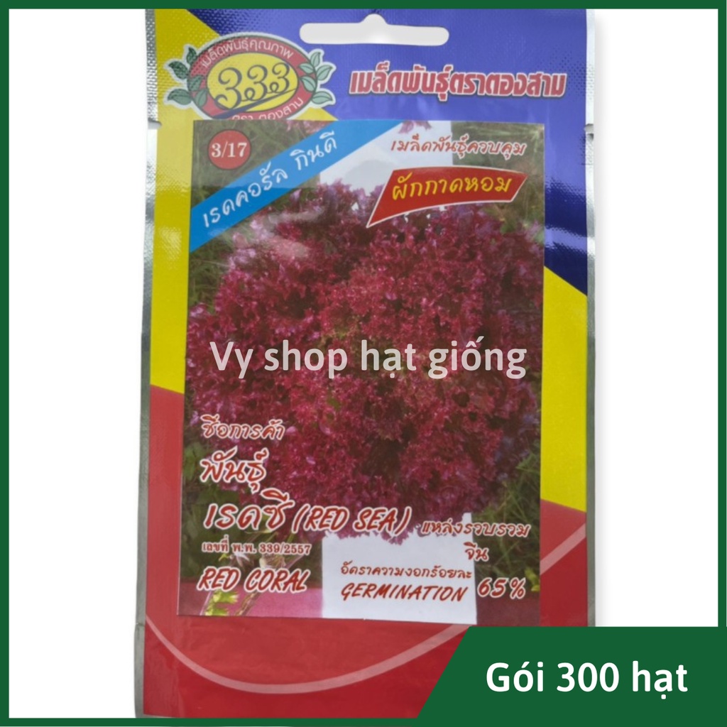 Hạt giống rau xà lách xoăn lolo tím Thái Lan gói 300 hạt