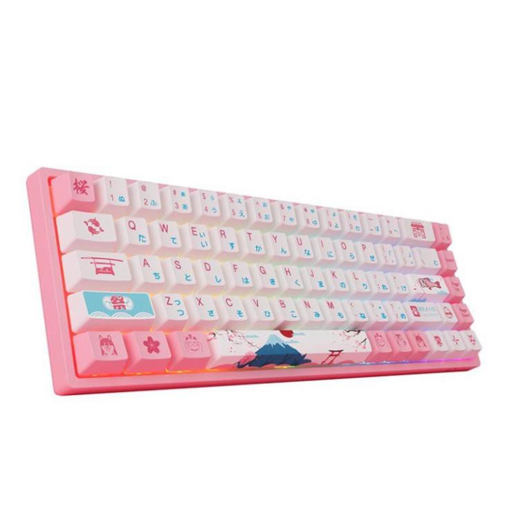 Bàn phím cơ AKKO 3068 v2 World Tour Tokyo R2 RGB – Bluetooth 5.0