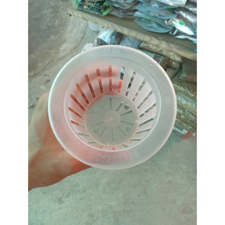 Rọ nhựa trồng cây thủy sinh