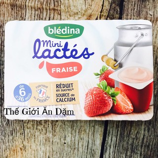 Sữa Chua Bledina Pháp 6m+ (Thế Giới Ăn Dặm)