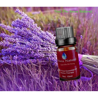 [Nguyên Chất] Tinh Dầu Khuyếch Tán Lavender (Oải Hương) 10ML