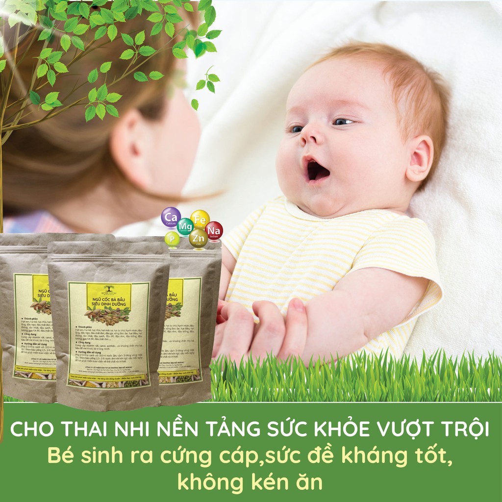 NGŨ CỐC SIÊU DINH DƯỠNG BÀ BẦU QUEEN NATURE