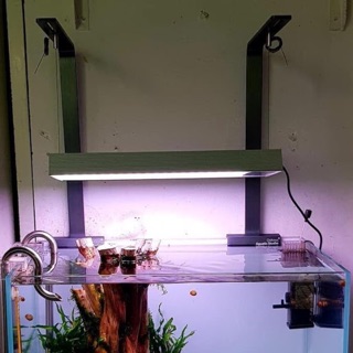 GIÁ TREO ĐÈN CHIHIROS CHO RGB VIVID VÀ WRGB