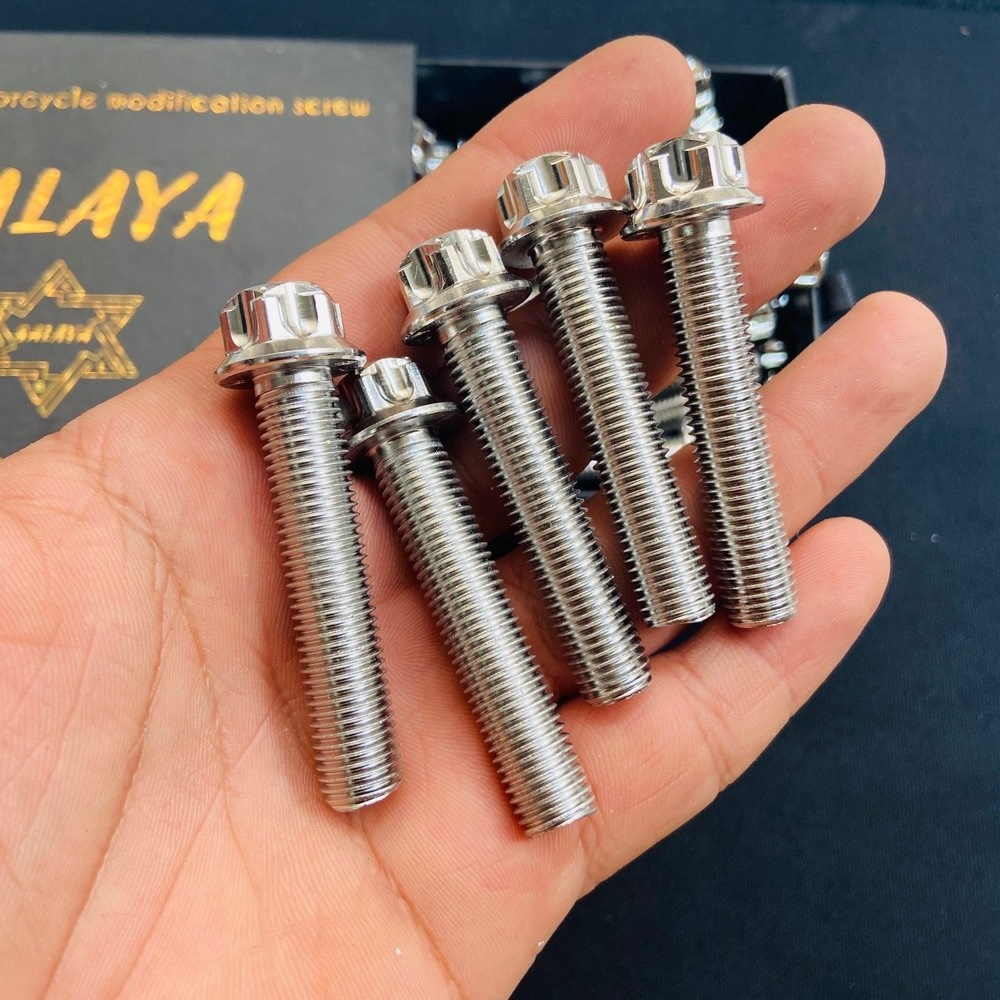 BỘ SƯU TẬP CÁC LOẠI ỐC SALAYA 10LY ĐẦY ĐỦ CÁC SIZE 10LY23 - 10LY4 - 10LY5 - 10LY6, BAO RỈ SÉT, BAO SÁNG BÓNG