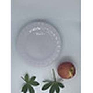 SÉT 5 ĐĨA PHÍP SOẴN  ( An Toàn Sức Khỏe Nhựa Xanh ) 1211