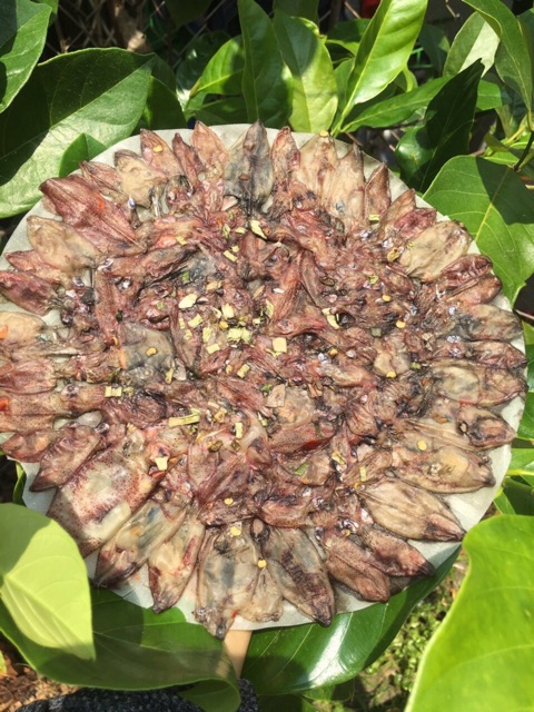[Freeship 99k] Bánh Tráng Mực Nguyên Con | BigBuy360 - bigbuy360.vn