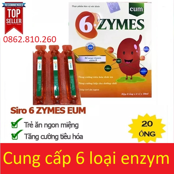 6 Zymes - Bổ sung đầy đủ 6 loại enzyme và vitamin nhóm B cần thiết cho cơ thể