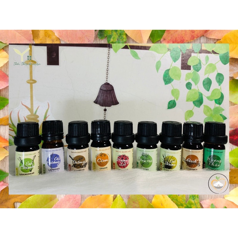 Tinh dầu thơm phòng chai 10ml- 5ml “Nhà của Thời Thanh Xuân” tinh dầu nguyên chất, chiết xuất thảo dược Đà lạt