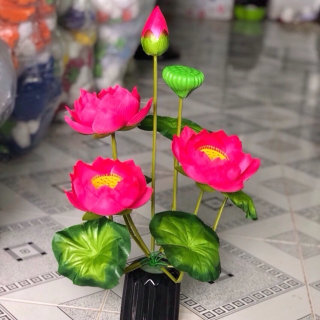 cành hoa sen trang trí