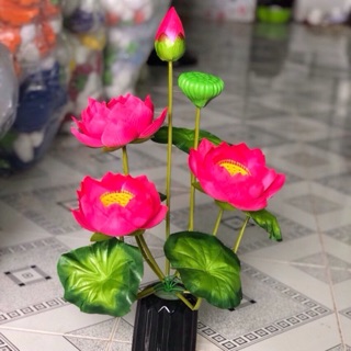 cành  hoa sen trang trí