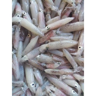 Mực sữa tươi 500g giao nhanh 2h