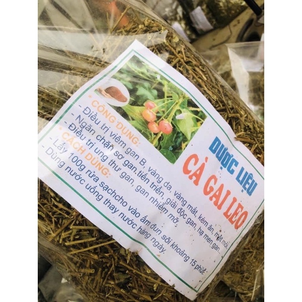 1Kg Cà Gai Leo phơi khô giúp mát gan, thanh nhiệt, giải độc