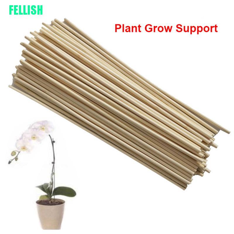 Bộ 50 Que Gỗ Hỗ Trợ Trồng Cây