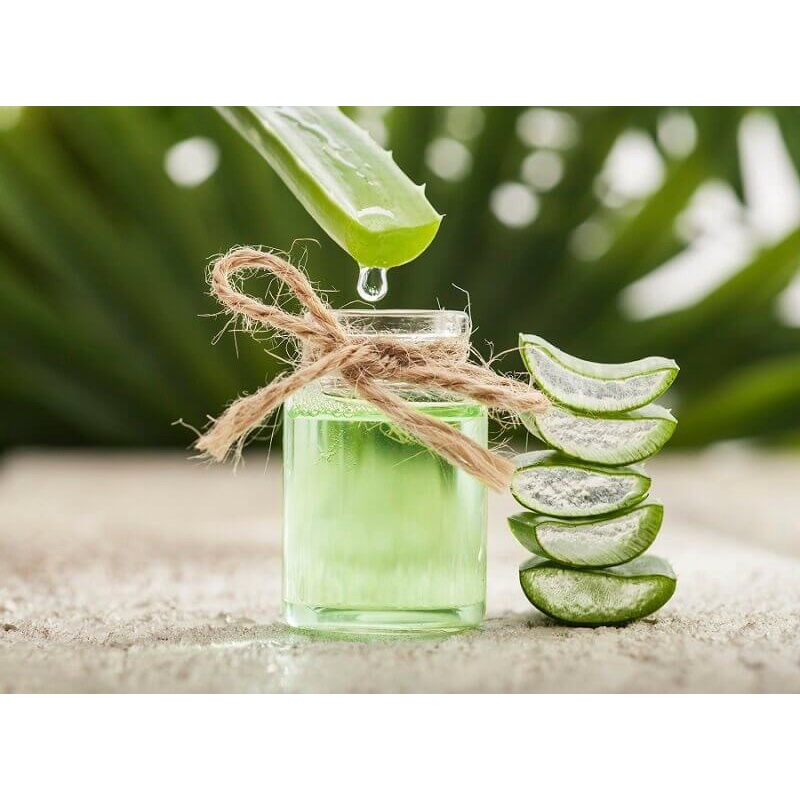 GEL NHA ĐAM LÔ HỘI ALOE VERA DƯỠNG ẨM ĐA NĂNG