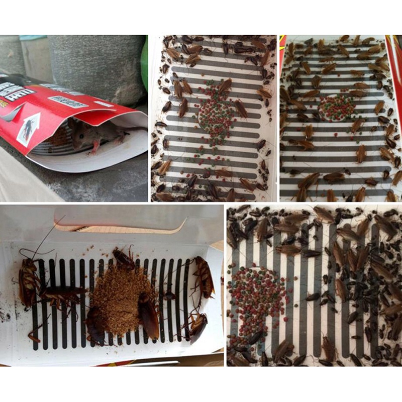 Bộ 5 Gián Siêu Dính Tiện Lợi Chất Lượng