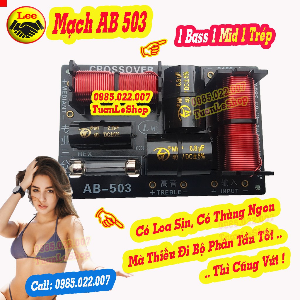 MẠCH 3 LOA  AB 503 – MẠCH 1 BASS 1 MID 1 TREP - GIÁ 1 MACH LOA AB503