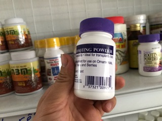Rooting powder