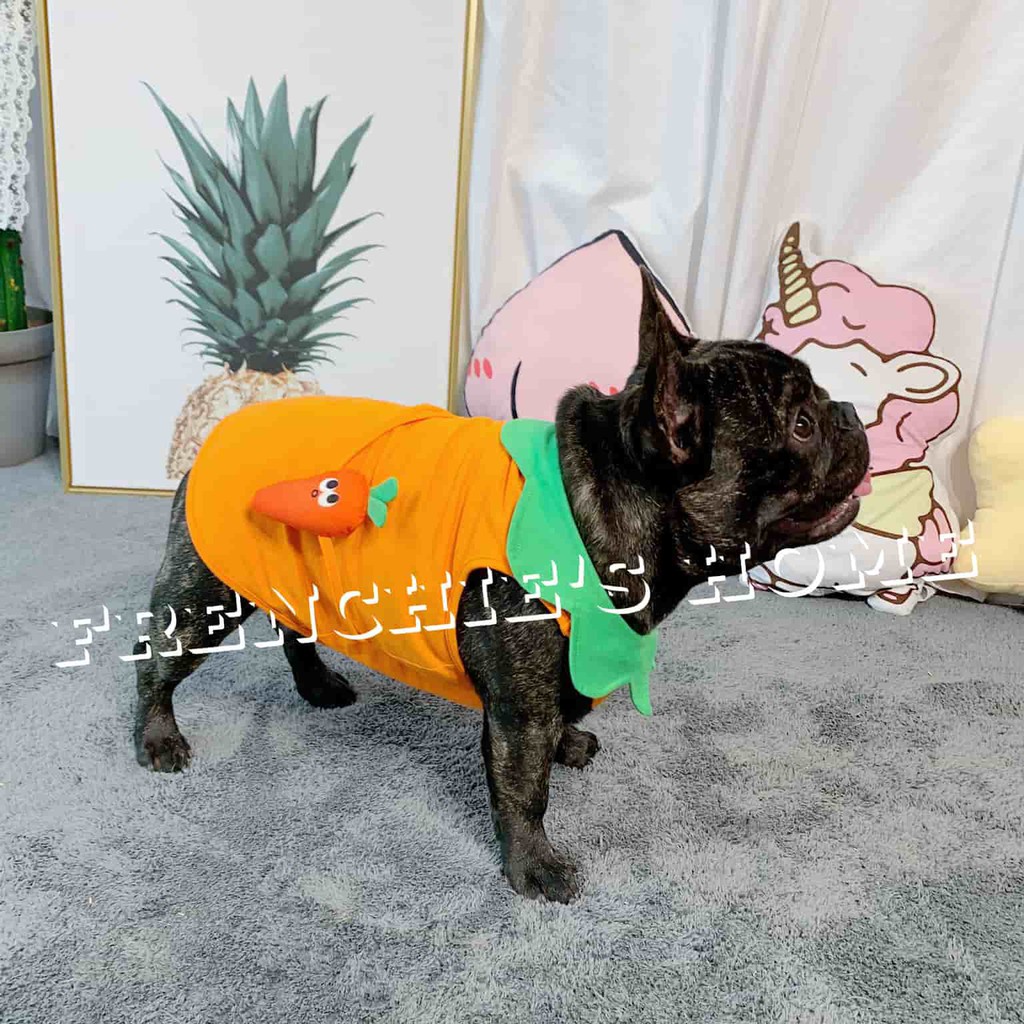 ÁO SÁT NÁCH 3 LỖ "TRÁI 🥕CÀ RỐT🥕 - 🍉DƯA HẤU🍉- 🥑BƠ🥑" CHO CHÓ BULL/PUG ( FRENCHIE'S SHIRT )