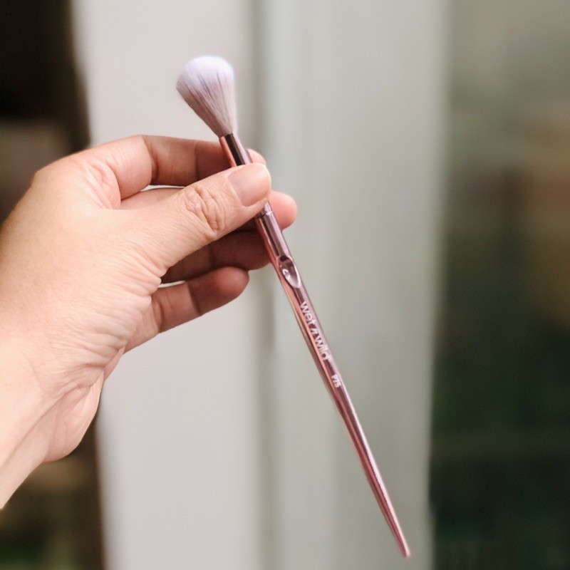 Cọ Highlight Wet n Wild Tapered Highlighting Brush Proline