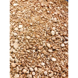 Muối tôm chuẩn Tây Ninh 1kg