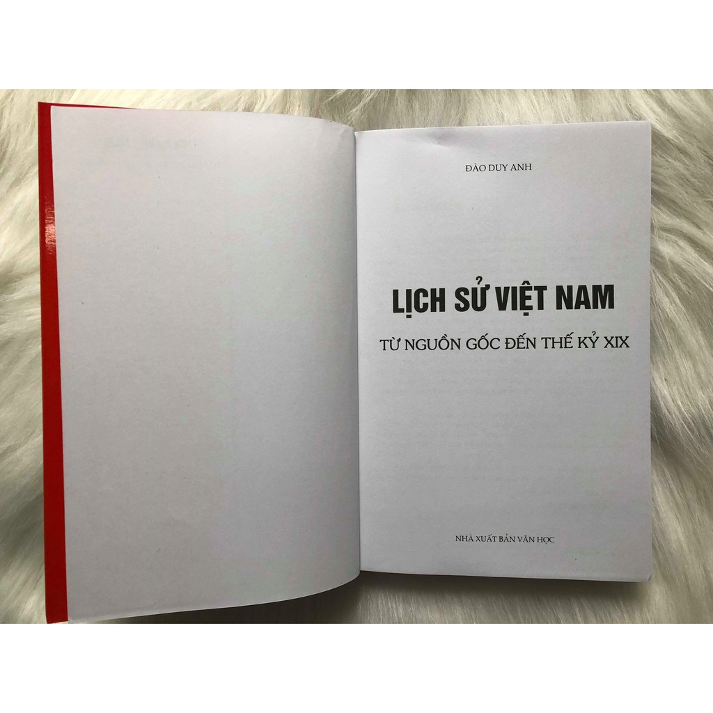 Sách - Lịch Sử Việt Nam - Từ Nguồn Gốc Đến Thế Kỷ XIX (Đào Duy Anh) Gigabook | BigBuy360 - bigbuy360.vn