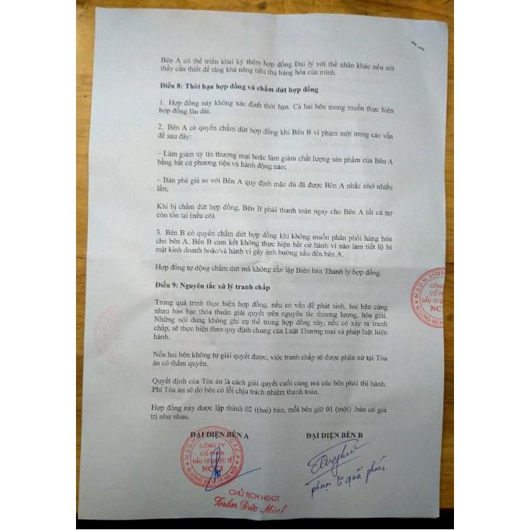 Trà chùm ngây 🌿 TỰ NHIÊN 🌿 Trà túi lọc chùm ngây - kết hợp xạ đen, linh chi -làm đẹp từ bên trong cơ thể | BigBuy360 - bigbuy360.vn