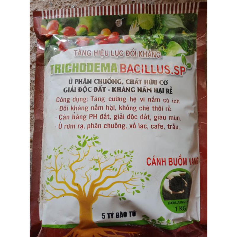 NẤM TRI TRÔ Ủ PHÂN,CHẤU