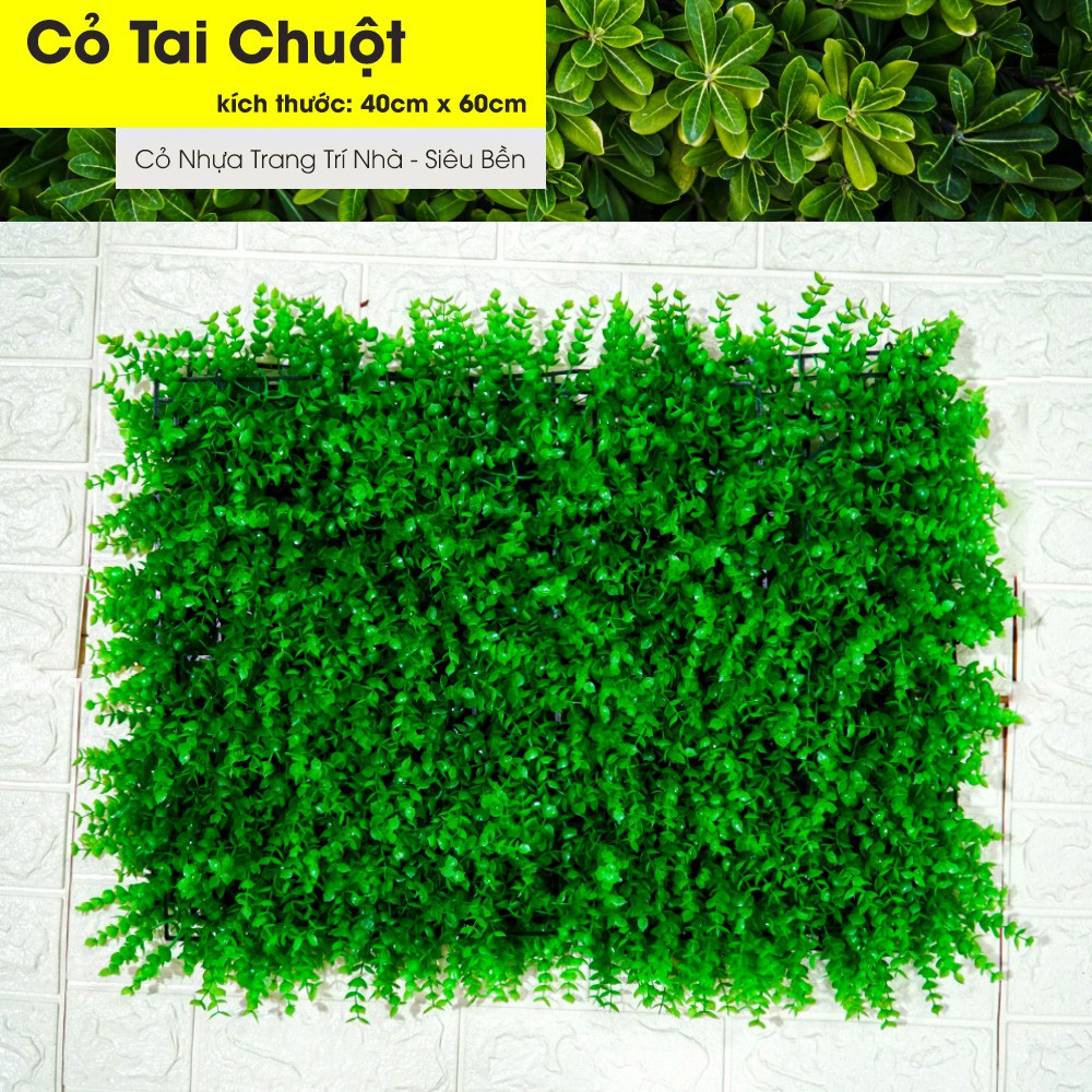 Cỏ nhựa treo tường, tấm cỏ nhựa tai chuột trang trí kích thước 40cm x 60cm