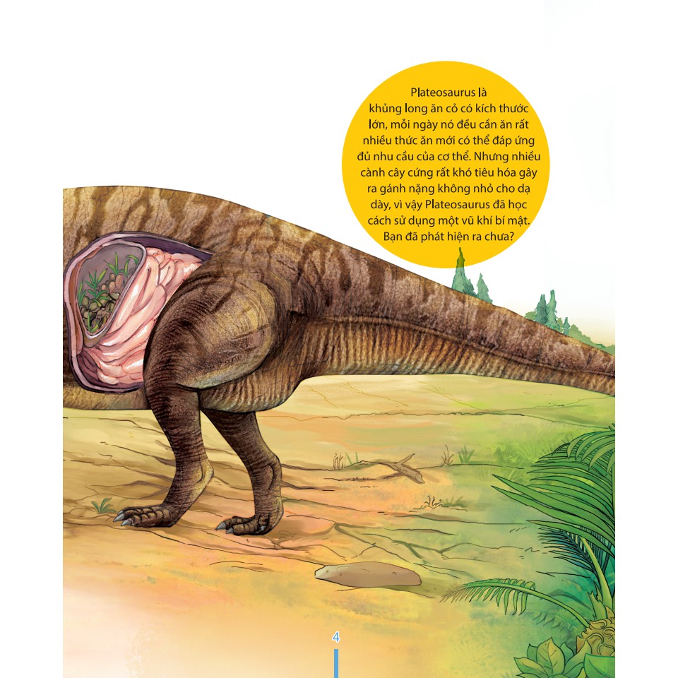 Sách-Kiến thức về khủng long-Tại sao khủng long Plateosaurus lại ăn đá? Đặc tính ăn uống và tiêu hóa của khủng long