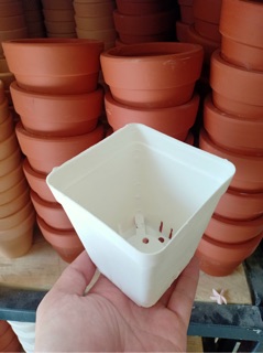 CHẬU NHỰA VUÔNG 9cm