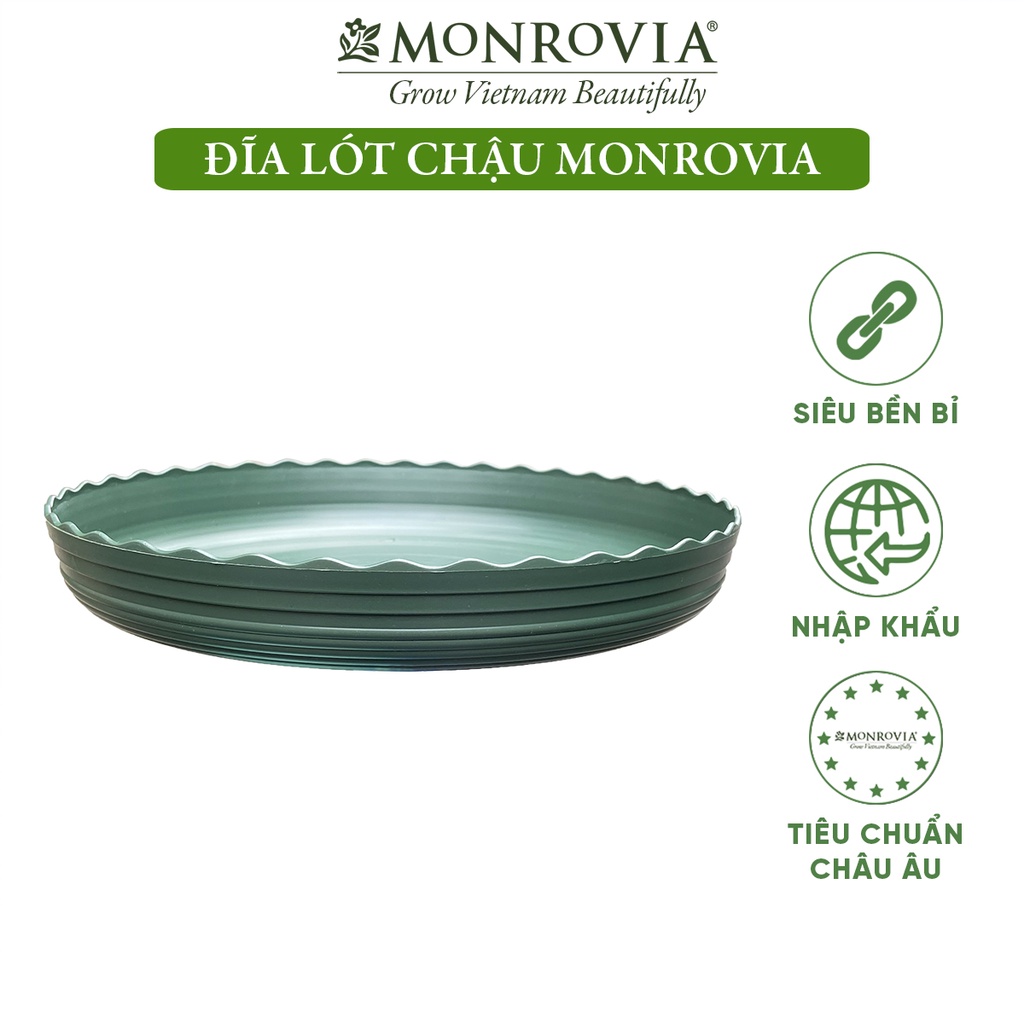 Đĩa lót chậu nhựa trồng cây MONROVIA, để bàn, treo ban công cho cây cảnh, hoa hồng, thiết kế tính tế, tiêu chuẩn Châu Âu