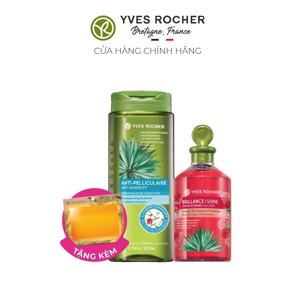 Combo Dầu gội giảm gàu ngứa và Giấm xả Tóc Yves Rocher