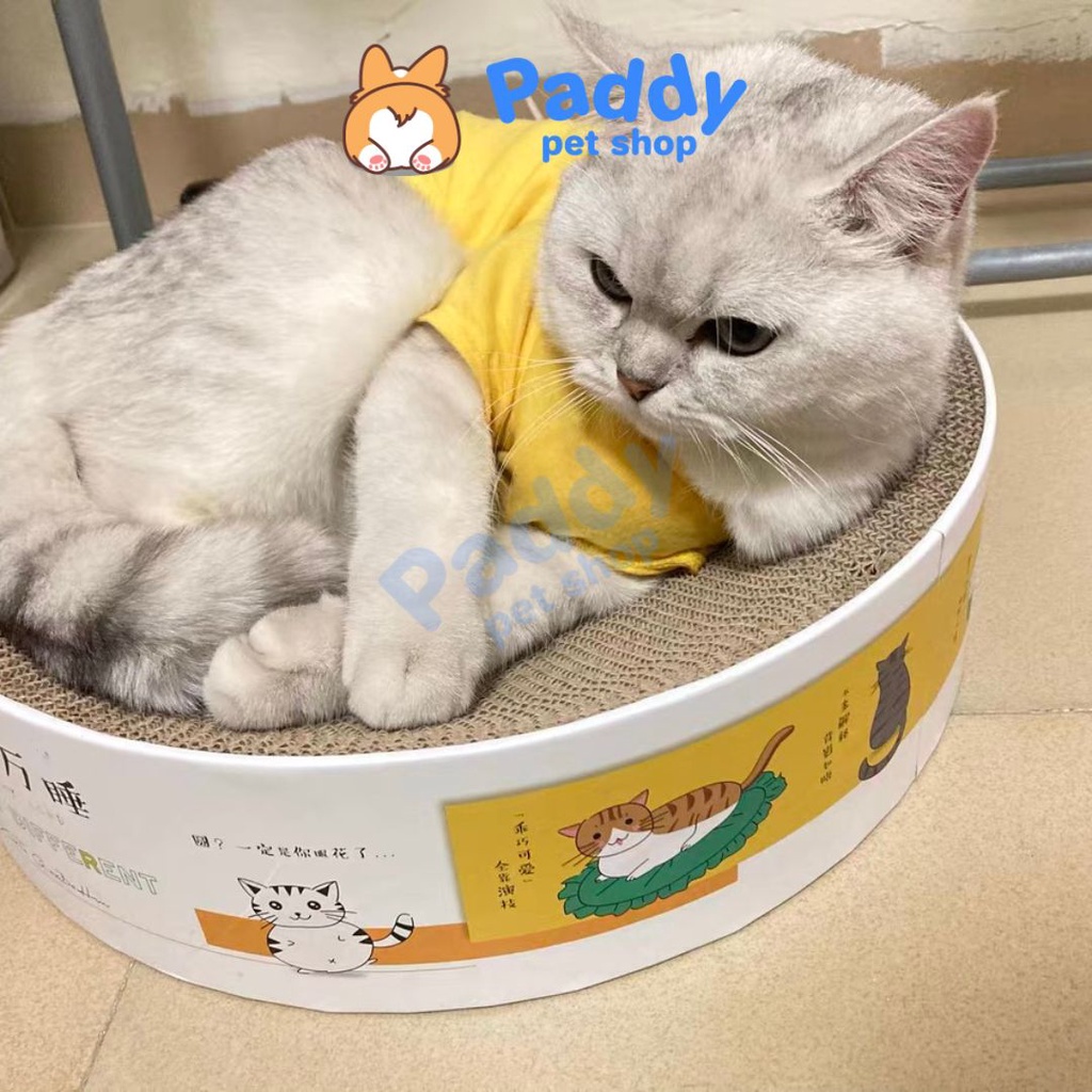 Bàn Cào Móng Giấy Ổ Nằm Tròn Cho Mèo