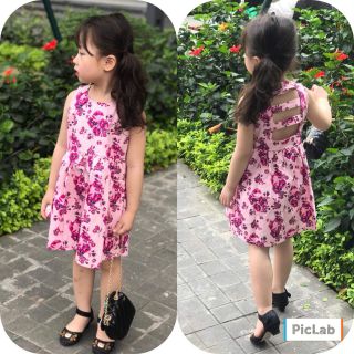 Bộ bé chat dui