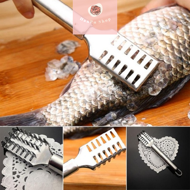 Dụng Cụ Đánh Vảy Cá,Dụng Cụ Bào Vảy Cá, Dụng Cụ Cào Vảy Cá