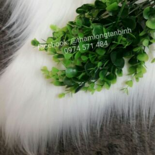 Thảm gấu chụp hình size 60x90cm