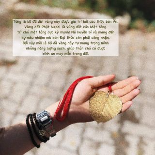 Lá Bồ Đề dát vàng - Ấn Độ - Lá nhỏ