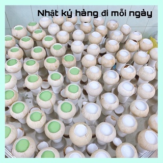 Combo 5 Rau câu trái dừa gọt trọc