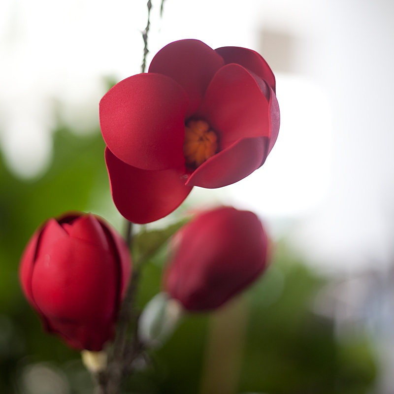 Hoa giả trang trí cành hoa Mộc Lan giả - 89cm - trắng, đỏ, hồng