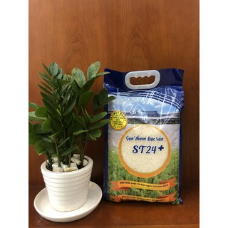 Gạo thơm đặc sản ST24+ INTIMEX ngon - 5kg