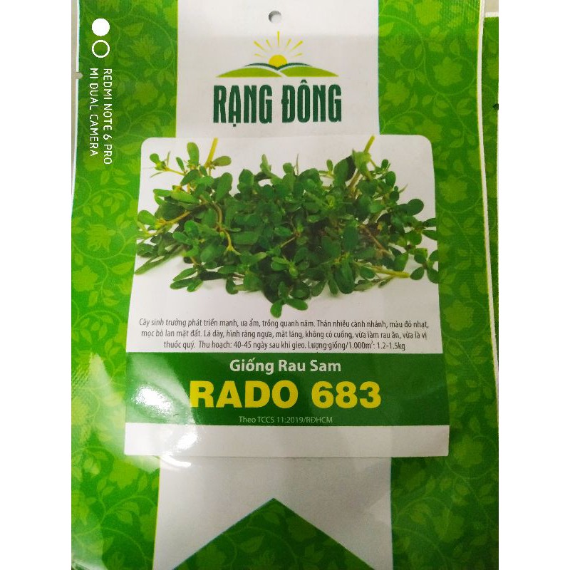 Hạt giống Rau sam 1gr❤️FREESHIP XTRA❤️