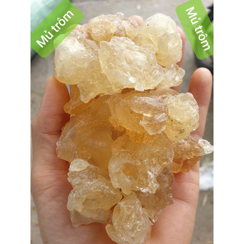 MỦ TRÔM # KLT gói 100gr # HSD 12 tháng