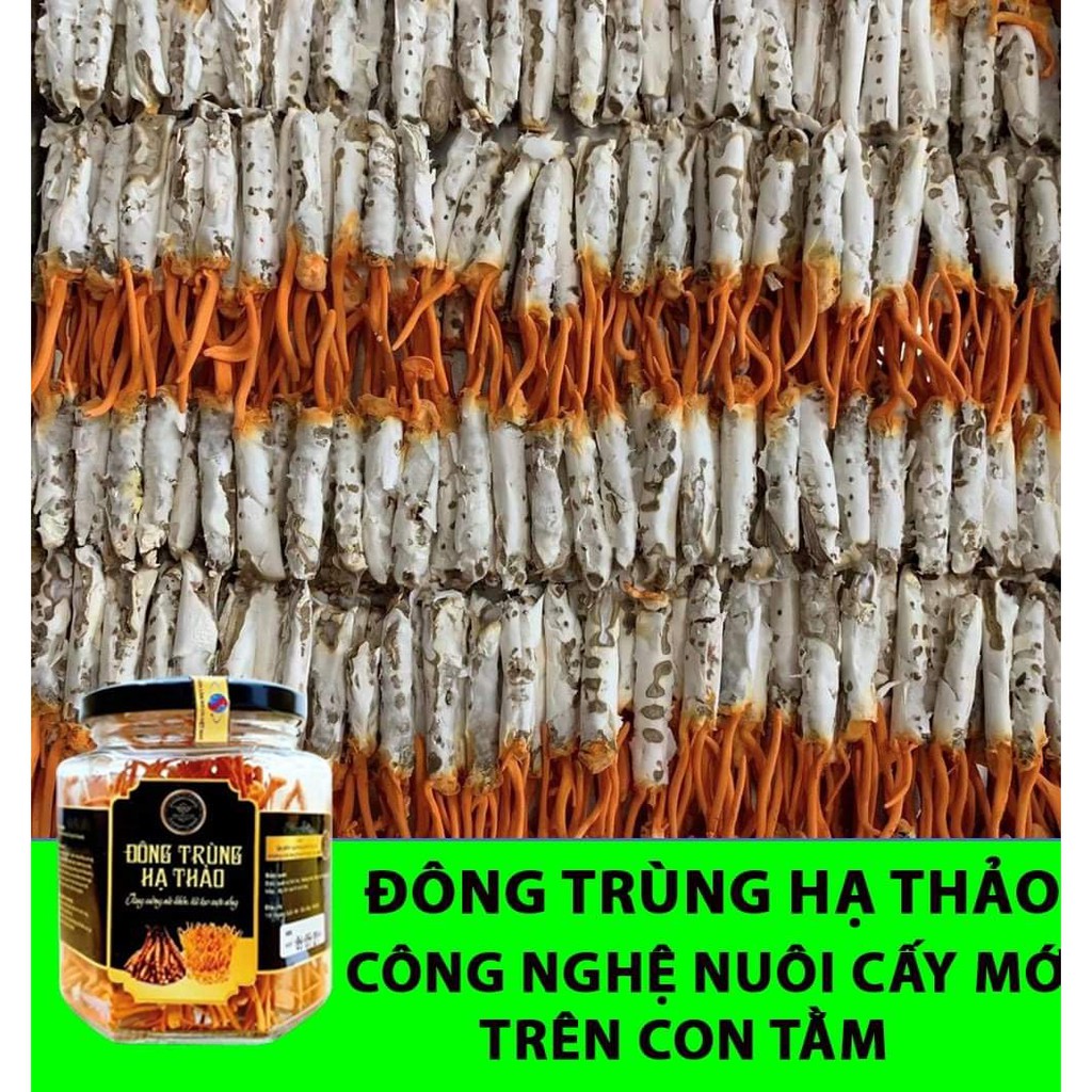 Đông Trùng Hạ Thảo Việt Nam - Viện Hàn Lâm Khoa Học & Công Nghệ Việt Nam