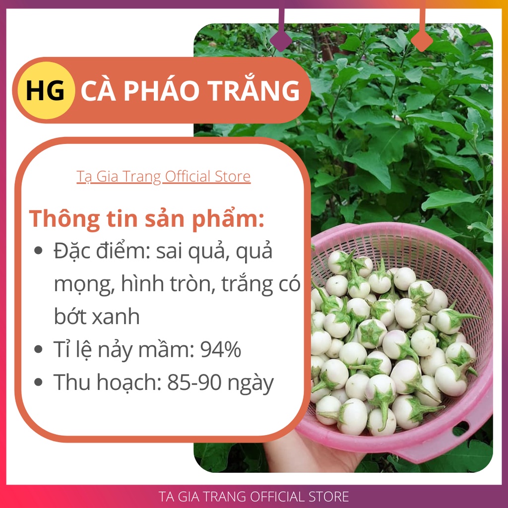 Hạt giống cà pháo trắng - Gói 5g/ 2g/ 0.5g