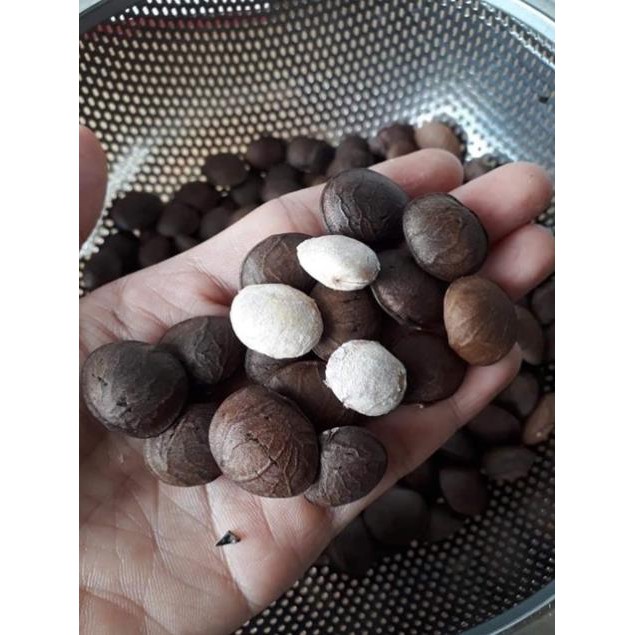 500g Hạt Sachi Sấy