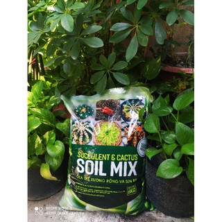 Đất trồng xương rồng, sen đá soil mix