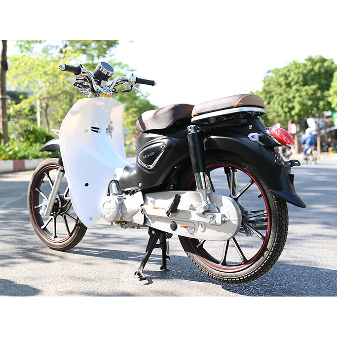 Xe số 50cc Cub 81 Ally New - vành đúc - 2021