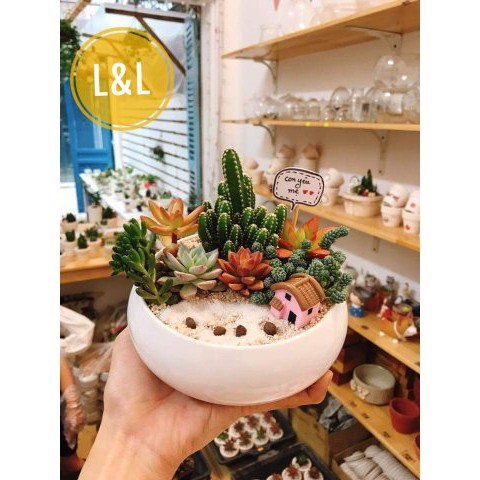 Nhà ngói xưa làm phụ kiện trang trí terrarium, sen đá, xương rồng, cây cảnh mini, cây để bàn