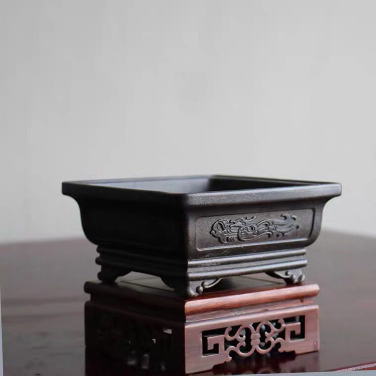 Chậu Hoa Nhỏ Hình Vuông Sáu Hình Chữ Nhật Nhỏ Màu Tím Calamus Cern Pine Và Cypress bonsai Trung Quốc